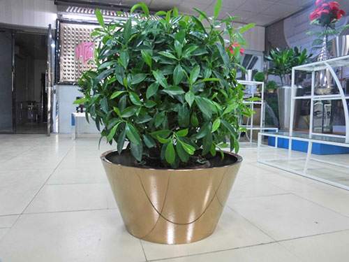 廣東汕頭不銹鋼花盆哪家做的好？